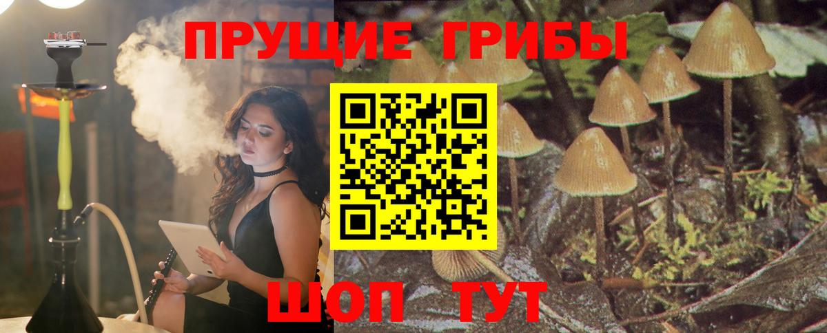 Тихвин  Псилоцибиновые грибы прущие грибы  где купить   Псилоцибиновые грибы MAGIC MUSHROOMS  Вход с VPN 