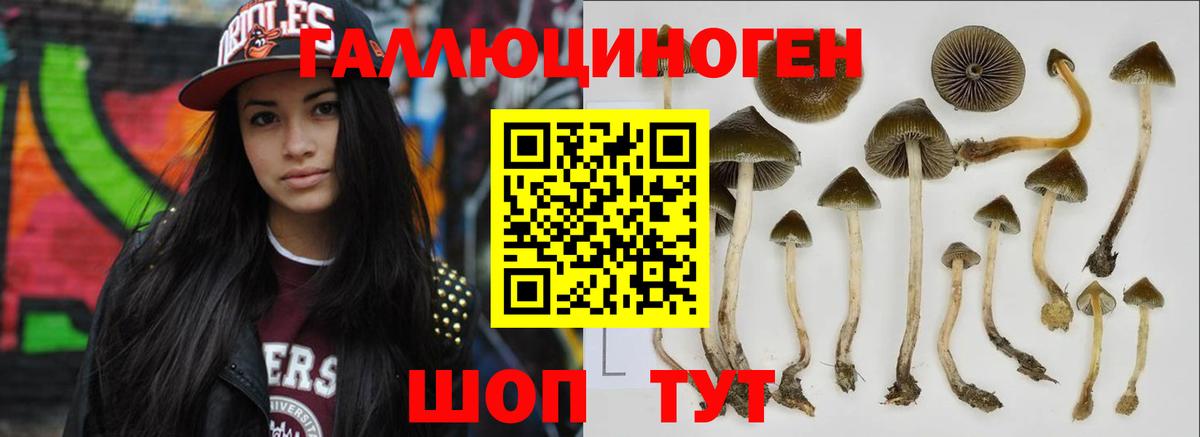 Псилоцибиновые грибы мухоморы Тихвин
